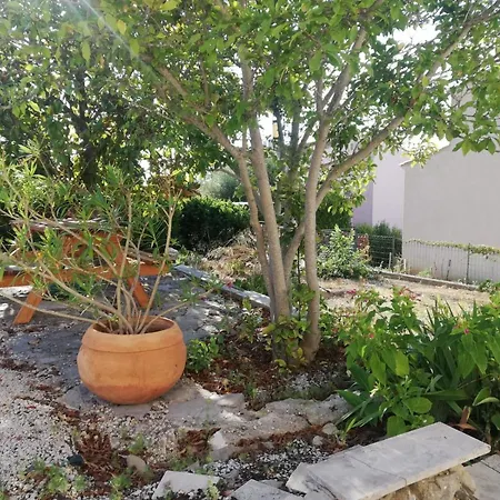 Feriehus Maison Garrigue Piscine Hors Sol Petanque Pignan